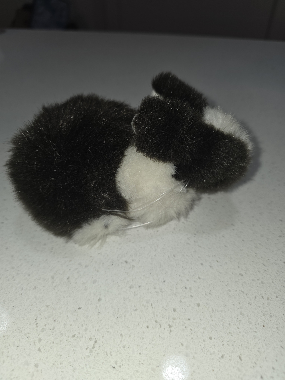 Black and White Small Pet Plush / Toy for Small Pets - Picture 2 of 6